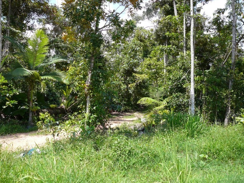 Mission Beach QLD 4852