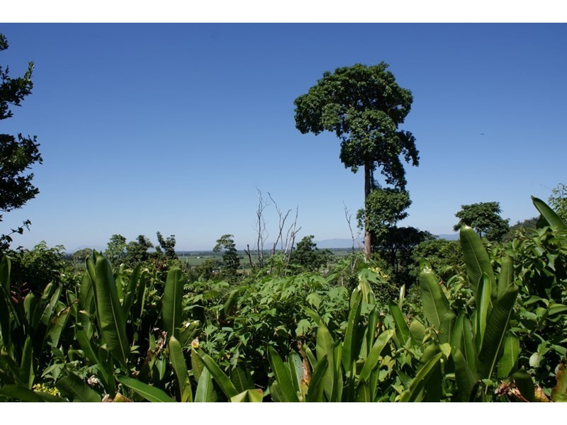 23 Hyatt Street, Tully QLD 4854