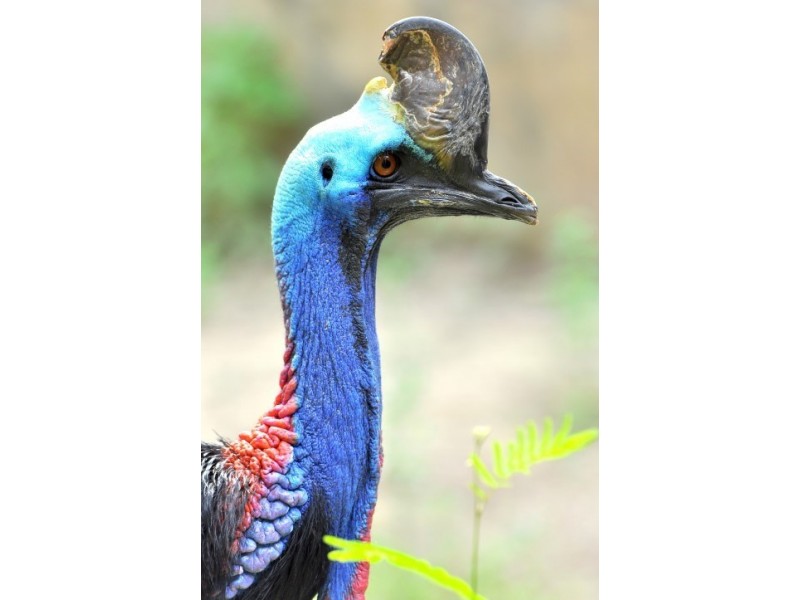 52 Mariner Drive, South Mission QLD 4852