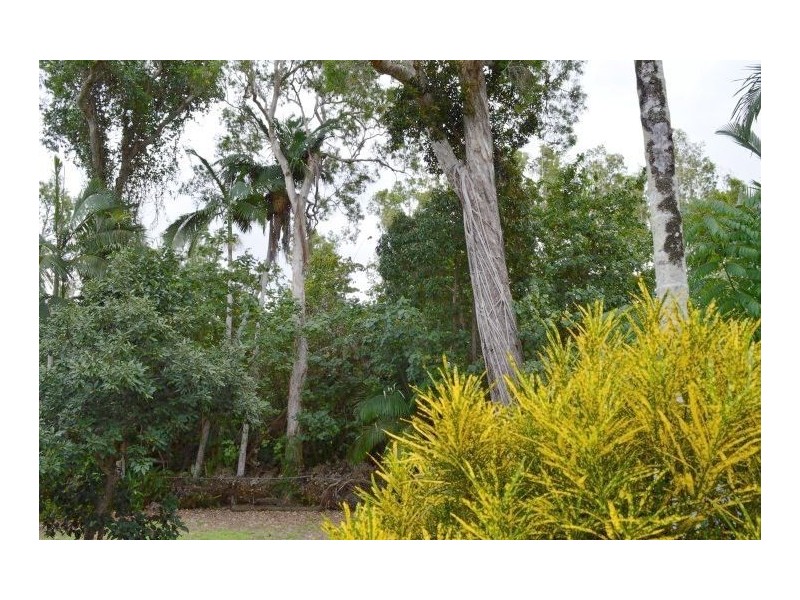 29 Reid Road, Wongaling Beach QLD 4852