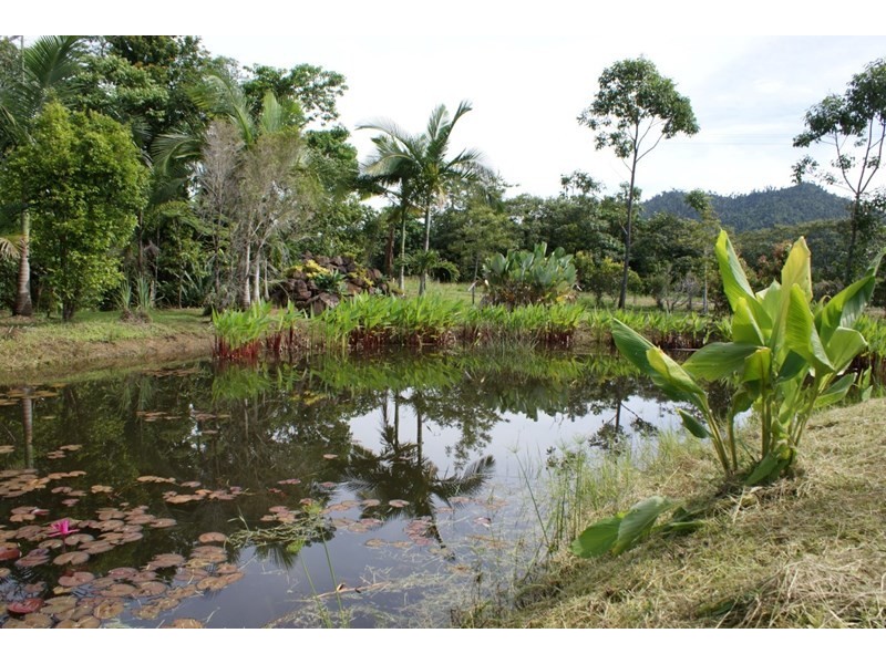 252 East Feluga Road, East Feluga QLD 4854