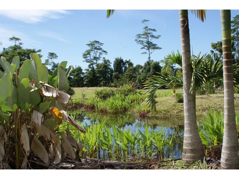 252 East Feluga Road, East Feluga QLD 4854