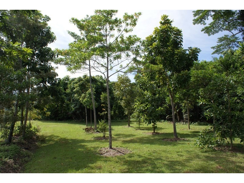 252 East Feluga Road, East Feluga QLD 4854