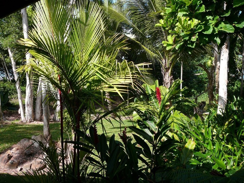 Mission Beach QLD 4852