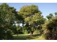 20 Pioneer Street, Bingil Bay QLD 4852
