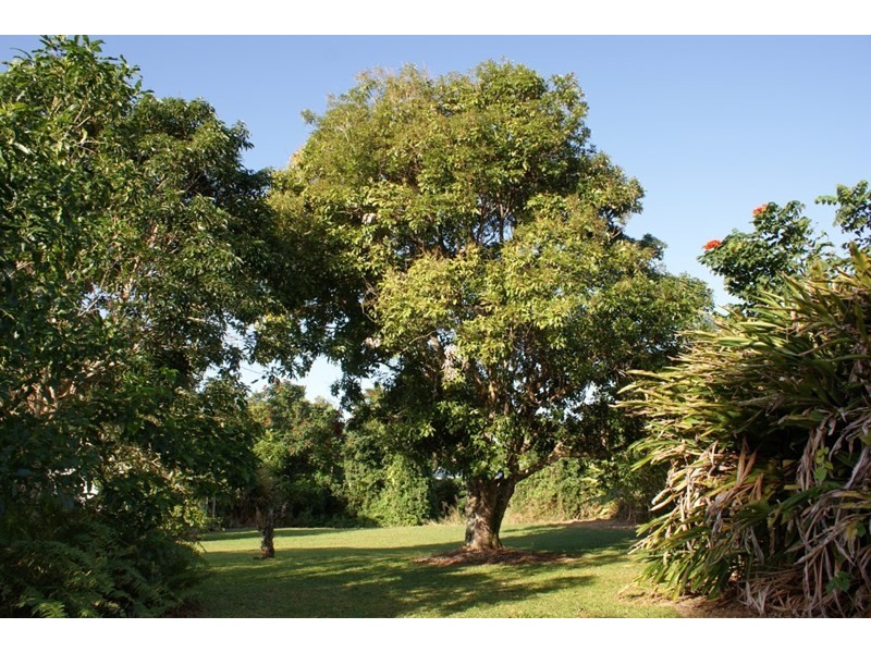 20 Pioneer Street, Bingil Bay QLD 4852