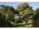 20 Pioneer Street, Bingil Bay QLD 4852
