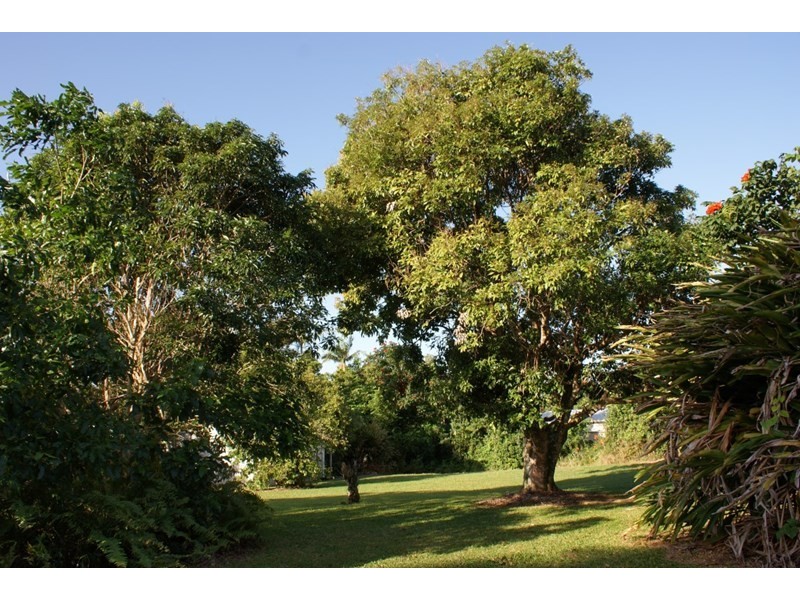 20 Pioneer Street, Bingil Bay QLD 4852