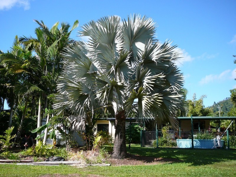 Mission Beach QLD 4852