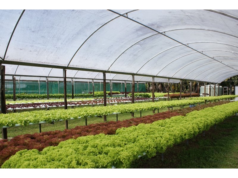 662 El Arish Mission Beach Road, Maria Creeks QLD 4855