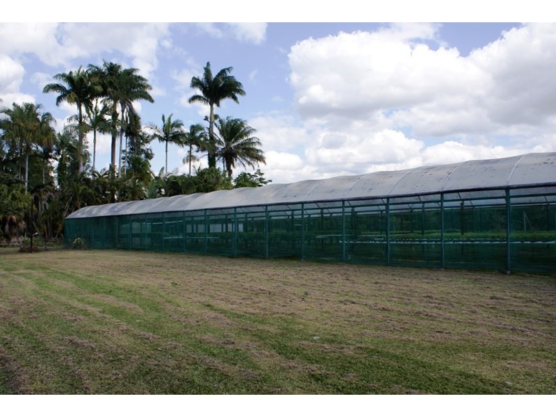 662 El Arish Mission Beach Road, Maria Creeks QLD 4855