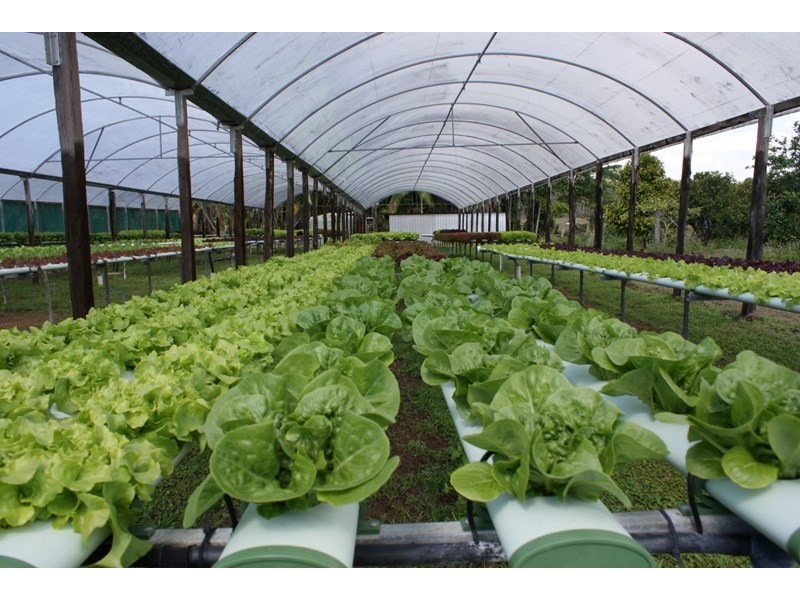 662 El Arish Mission Beach Road, Maria Creeks QLD 4855