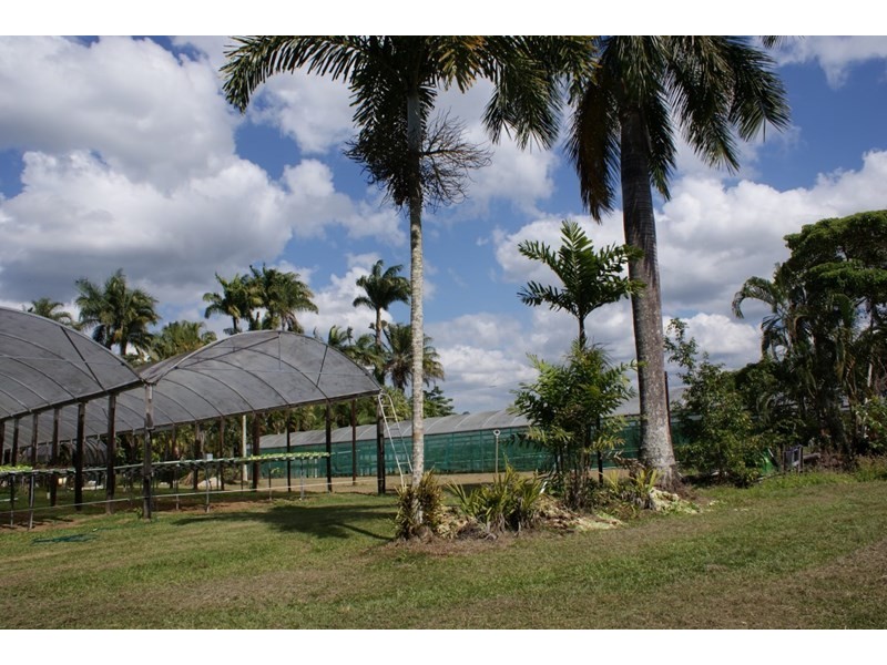 662 El Arish Mission Beach Road, Maria Creeks QLD 4855