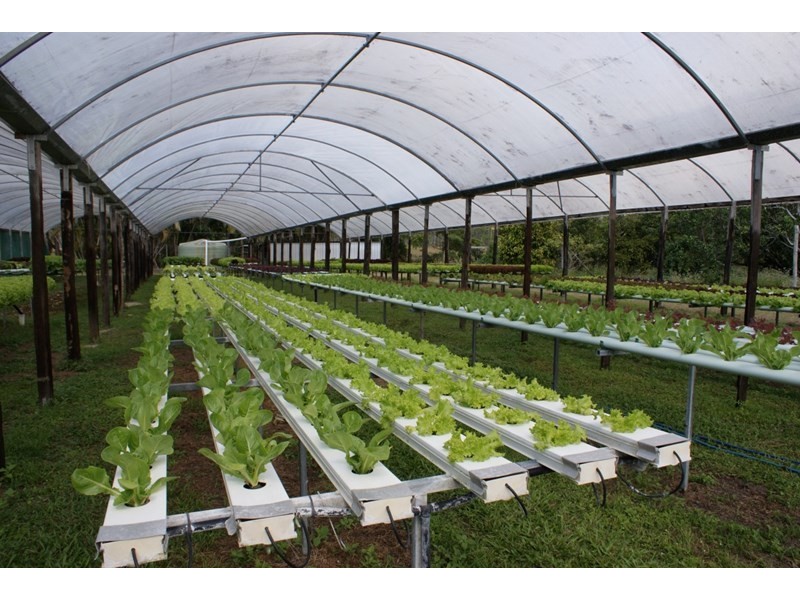 662 El Arish Mission Beach Road, Maria Creeks QLD 4855