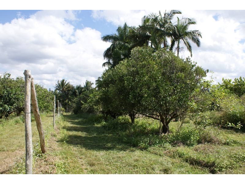 662 El Arish Mission Beach Road, Maria Creeks QLD 4855