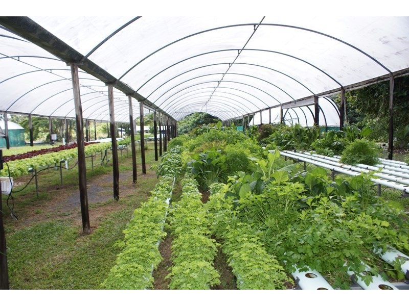 662 El Arish Mission Beach Road, Maria Creeks QLD 4855