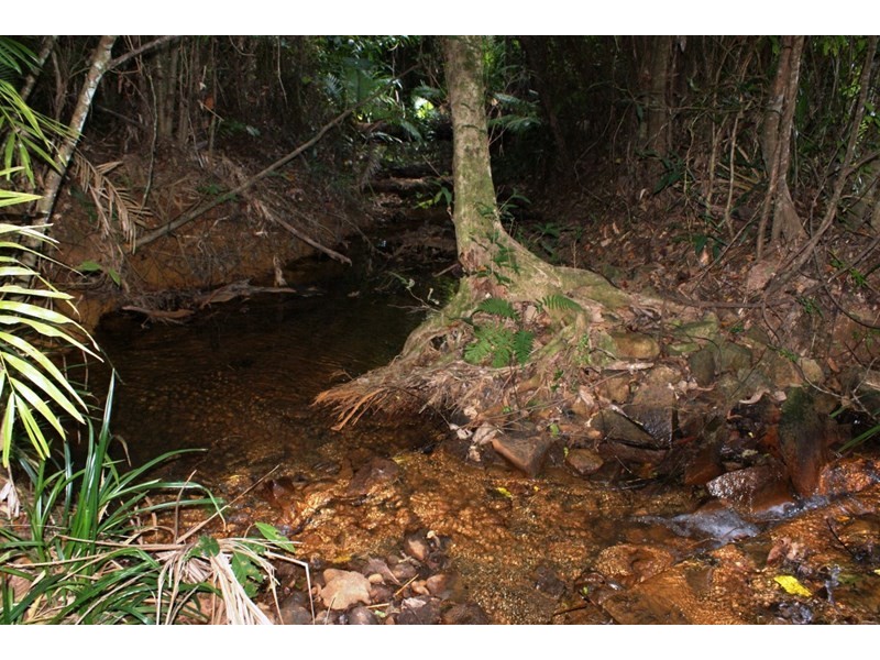 662 El Arish Mission Beach Road, Maria Creeks QLD 4855