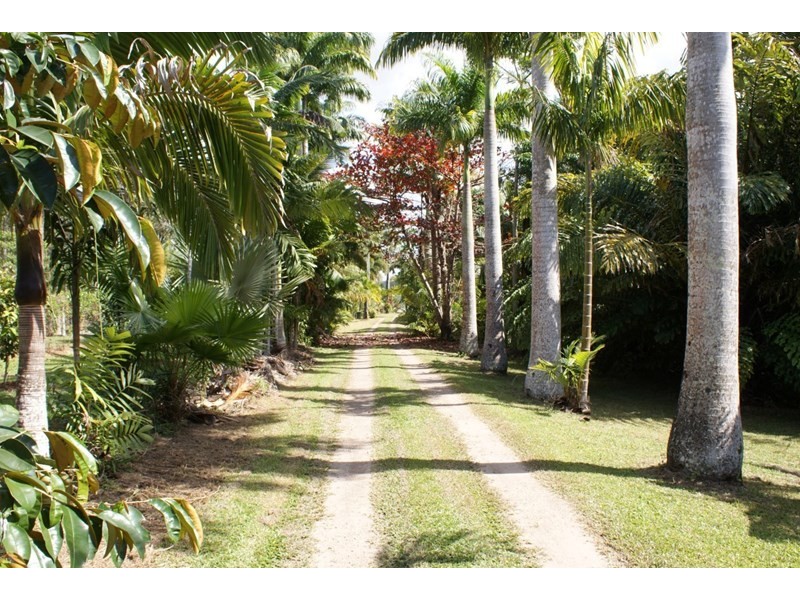 662 El Arish Mission Beach Road, Maria Creeks QLD 4855