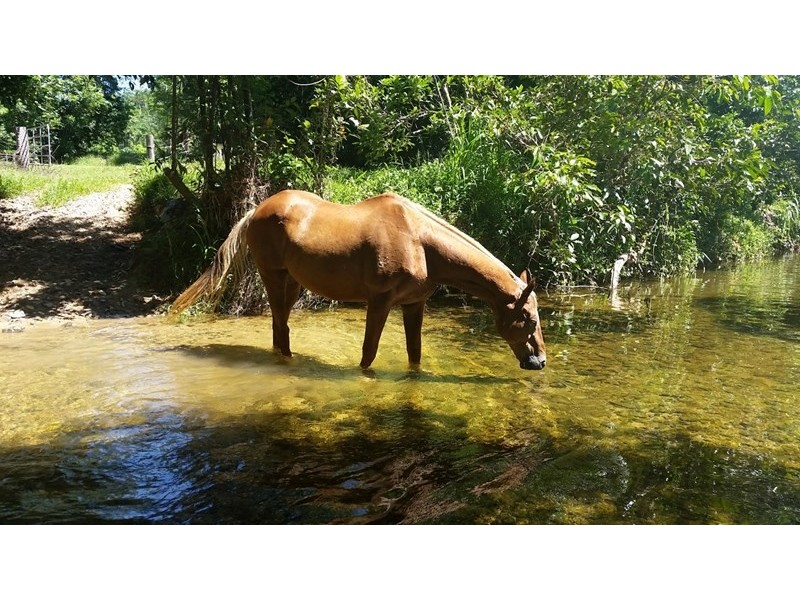 Lot 520 Friday Pocket Road, El Arish QLD 4855