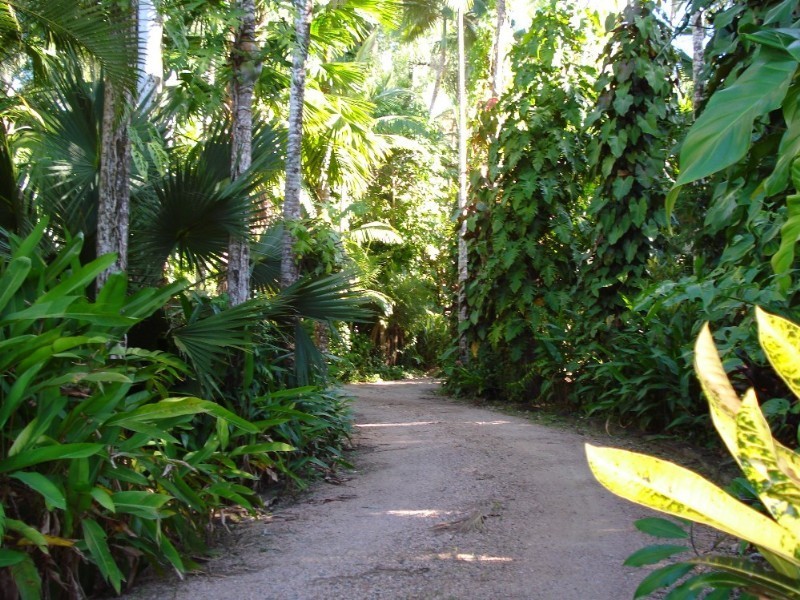 Mission Beach QLD 4852