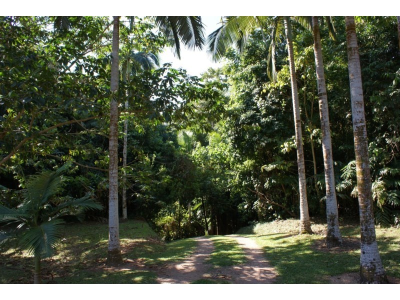 1/627 Bingil Bay Road, Bingil Bay QLD 4852