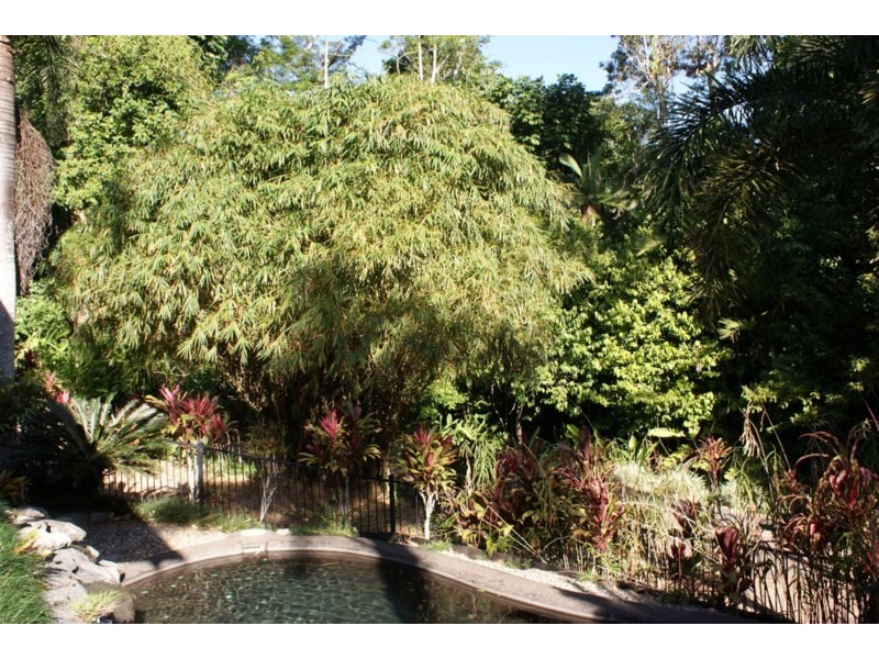 1/627 Bingil Bay Road, Bingil Bay QLD 4852