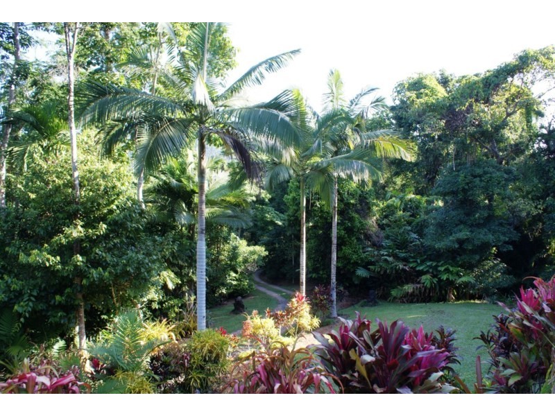 1/627 Bingil Bay Road, Bingil Bay QLD 4852