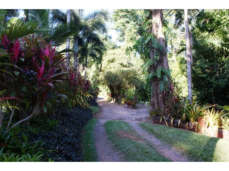 1/627 Bingil Bay Road, Bingil Bay QLD 4852