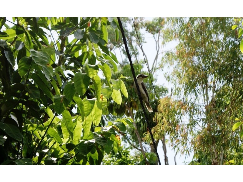 22 Seafarer Street, South Mission QLD 4852