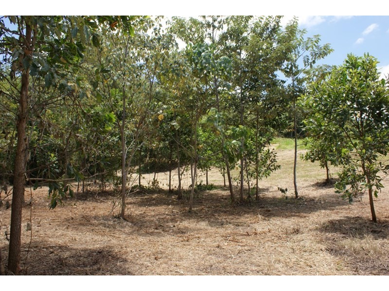 Lot 21 Bilic Road, El Arish QLD 4855