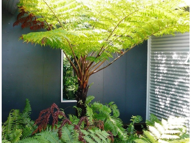 Mission Beach QLD 4852