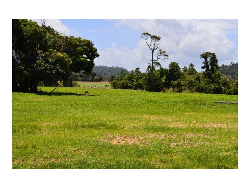 Lot 1 Butler Road, Bingil Bay QLD 4852