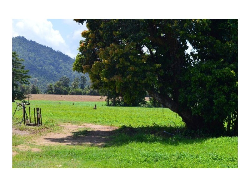 Lot 1 Butler Road, Bingil Bay QLD 4852