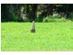 Lot 1 Butler Road, Bingil Bay QLD 4852
