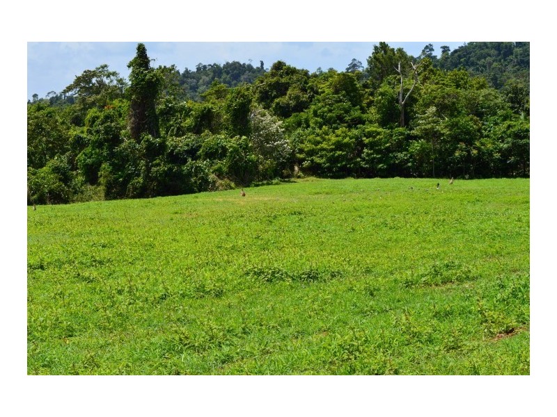 Lot 1 Butler Road, Bingil Bay QLD 4852