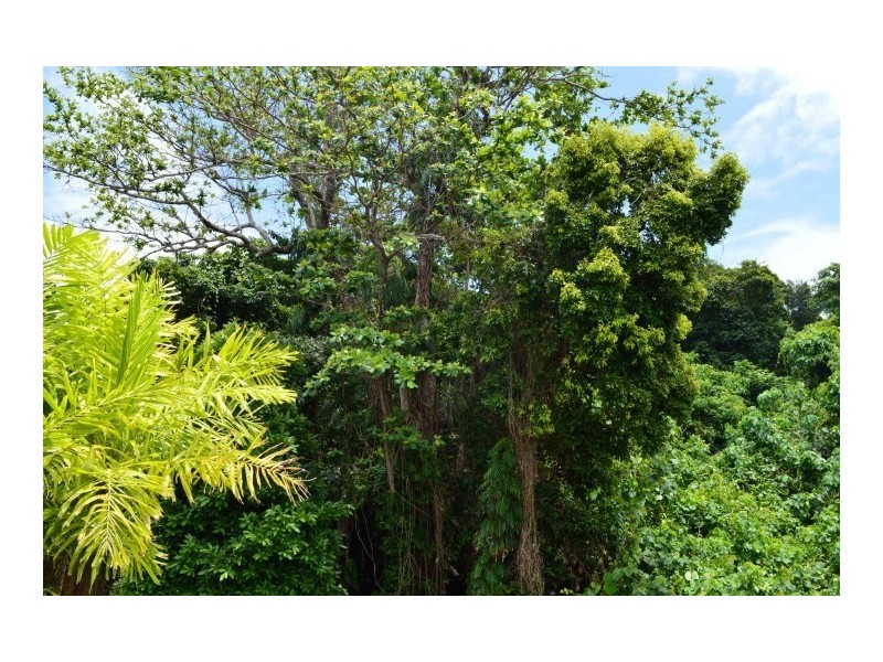 2/60 Porter Promenade, Mission Beach QLD 4852