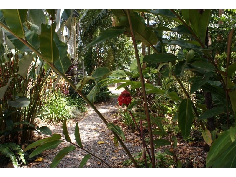 12 Pacific View Drive, Wongaling Beach QLD 4852