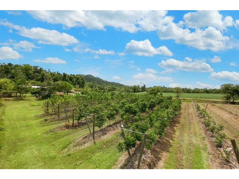 492 East Feluga Road, East Feluga QLD 4854