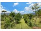 492 East Feluga Road, East Feluga QLD 4854