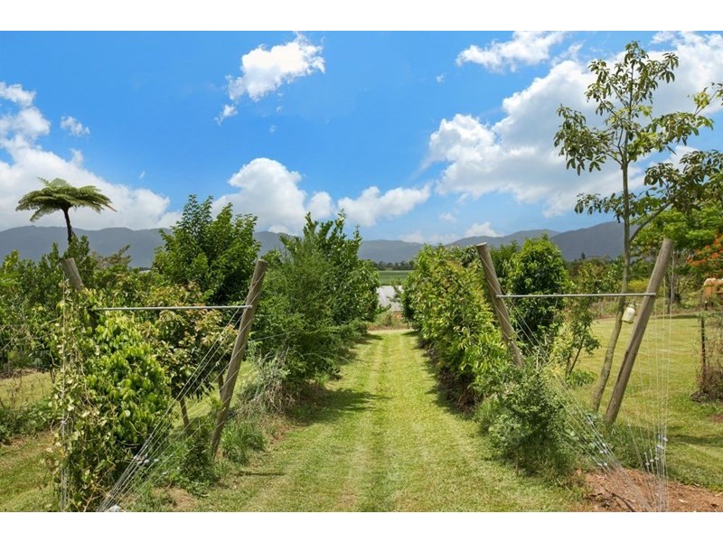 492 East Feluga Road, East Feluga QLD 4854