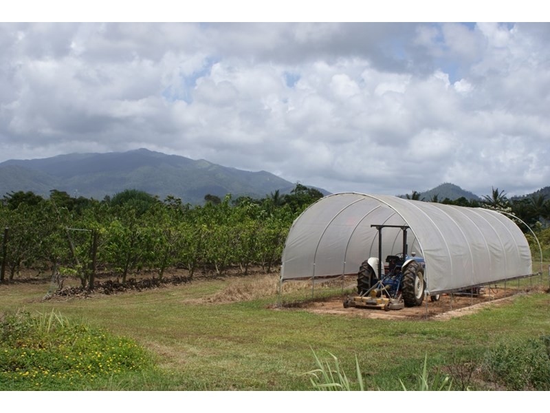 492 East Feluga Road, East Feluga QLD 4854