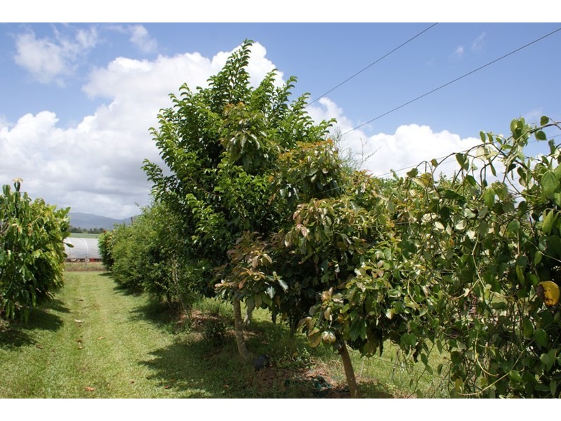 492 East Feluga Road, East Feluga QLD 4854