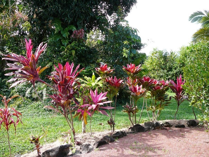 Mission Beach QLD 4852