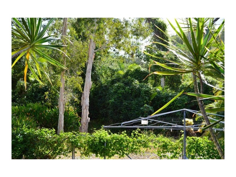 5 Bunting Street, Wongaling Beach QLD 4852