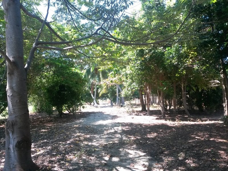 10 Coral Close, Mission Beach QLD 4852