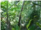 Bingil Bay QLD 4852