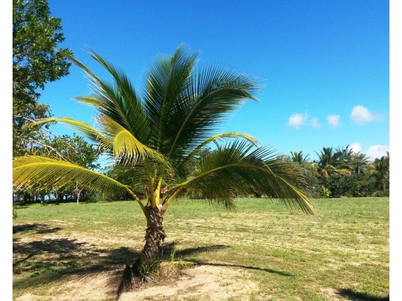 Lot 2 Maria Creek Estate, Kurrimine Beach QLD 4871