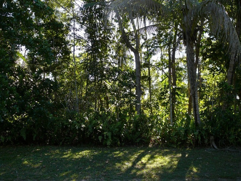 Mission Beach QLD 4852