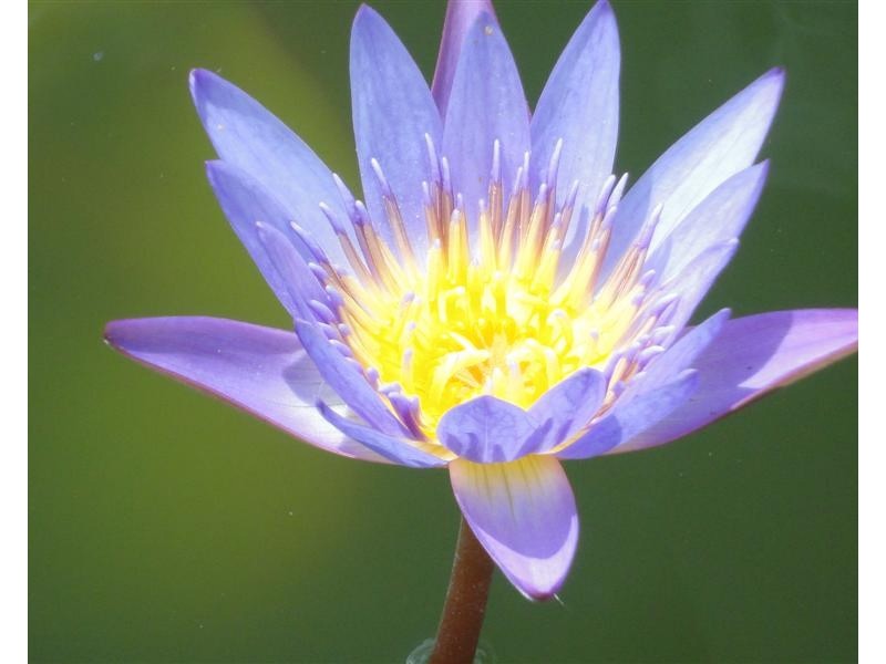 127 Reid Road, Wongaling Beach QLD 4852