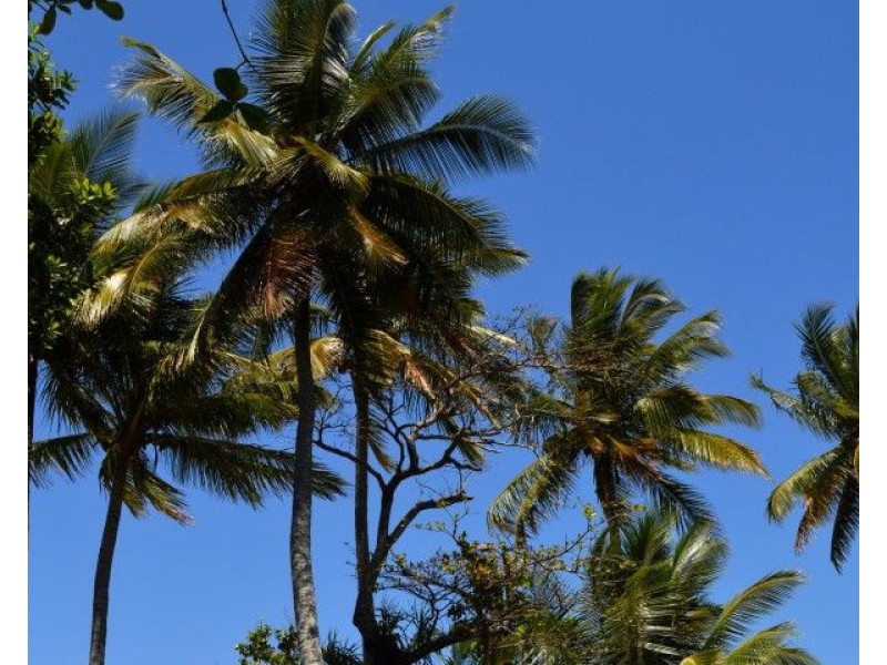 42 Donkin Lane, Mission Beach QLD 4852